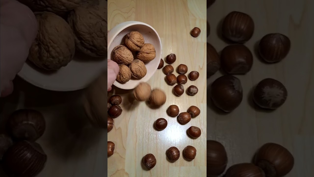 Reverse ASMR Sound Nature Materials Decoration Walnuts Picking Up vs Hazelnuts