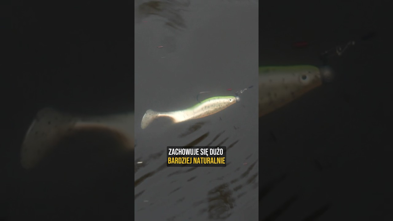 Niewidzialna linka wędkarska! Dlaczego warto stosować fluorocarbon? #wędkarstwo #ryby #spinning