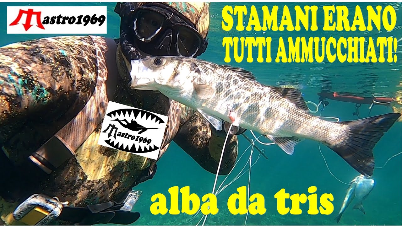 pesca in apnea alba tris spigole e orata sparamine nemesis HT inverter 90