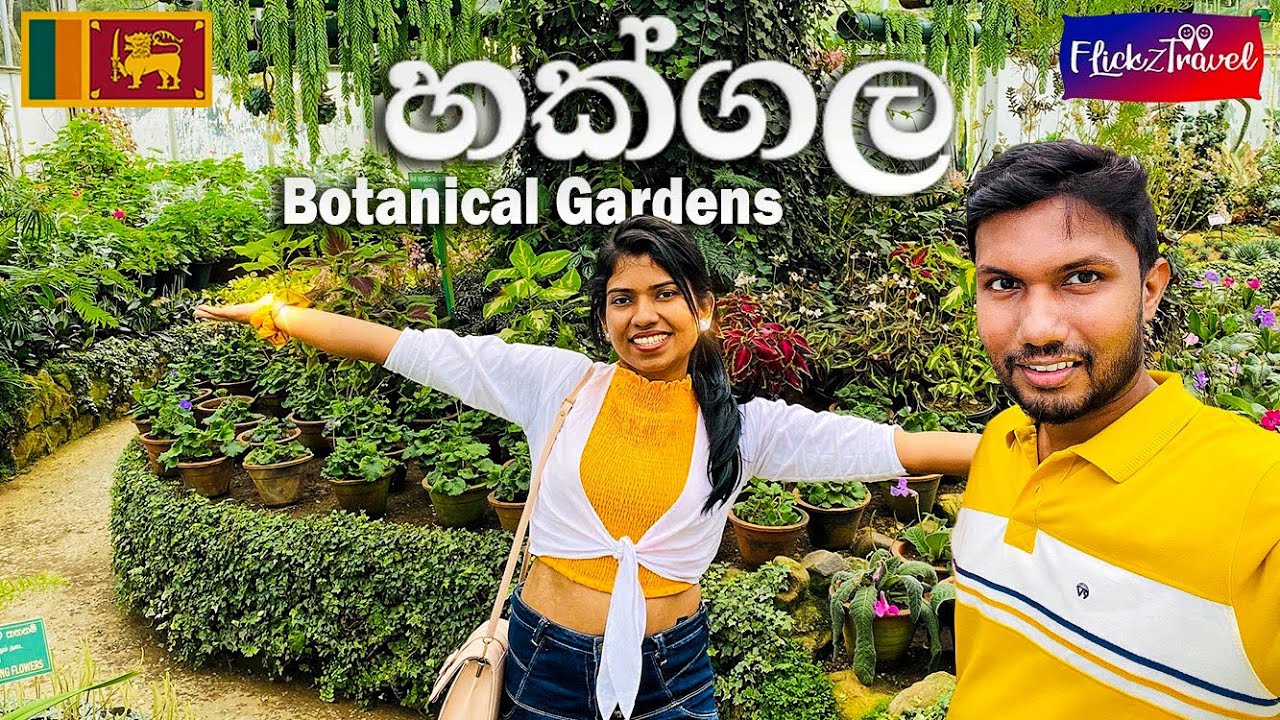 Nuwara Eliya - EP 5 | මල් නම් මල් 🌺 , Hakgala Botanical Gardens