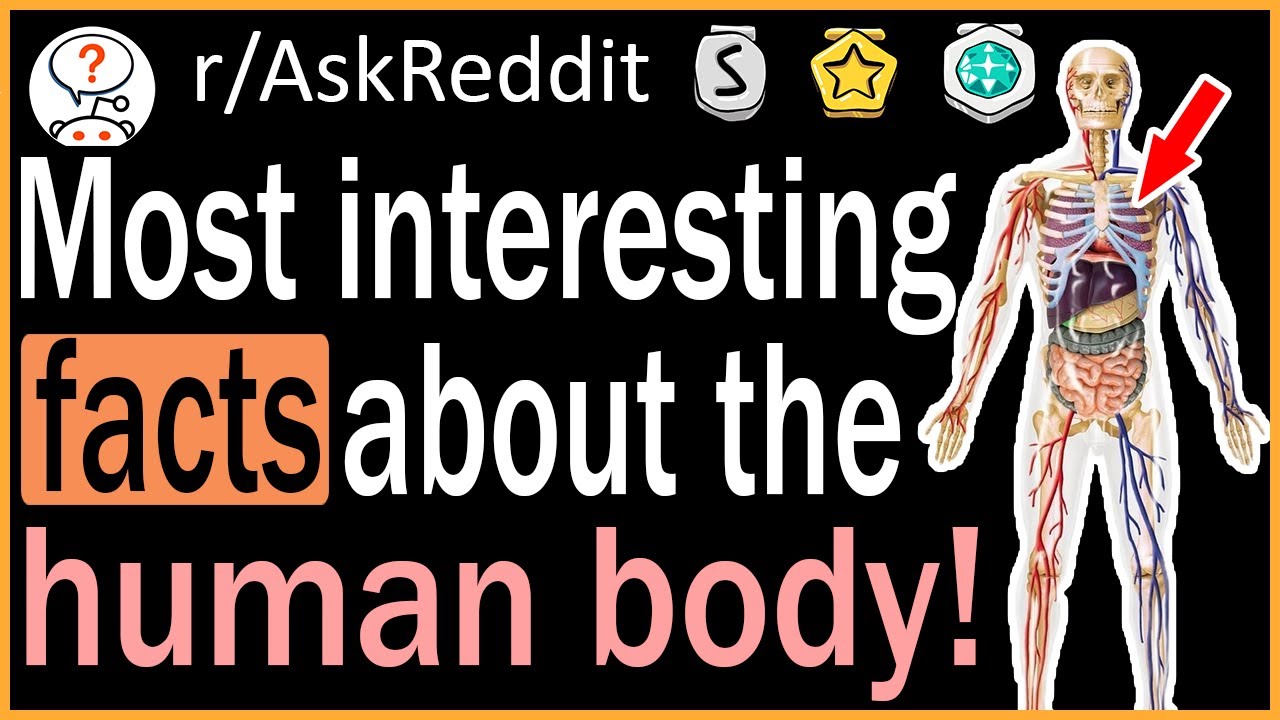 The Most Interesting FACTS About The Human Body! - r/AskReddit