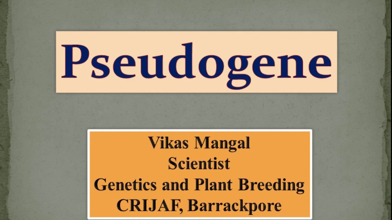 Pseudogene | Vikas Mangal (Scientist, CRIJAF) | Genetics and Plant Breeding