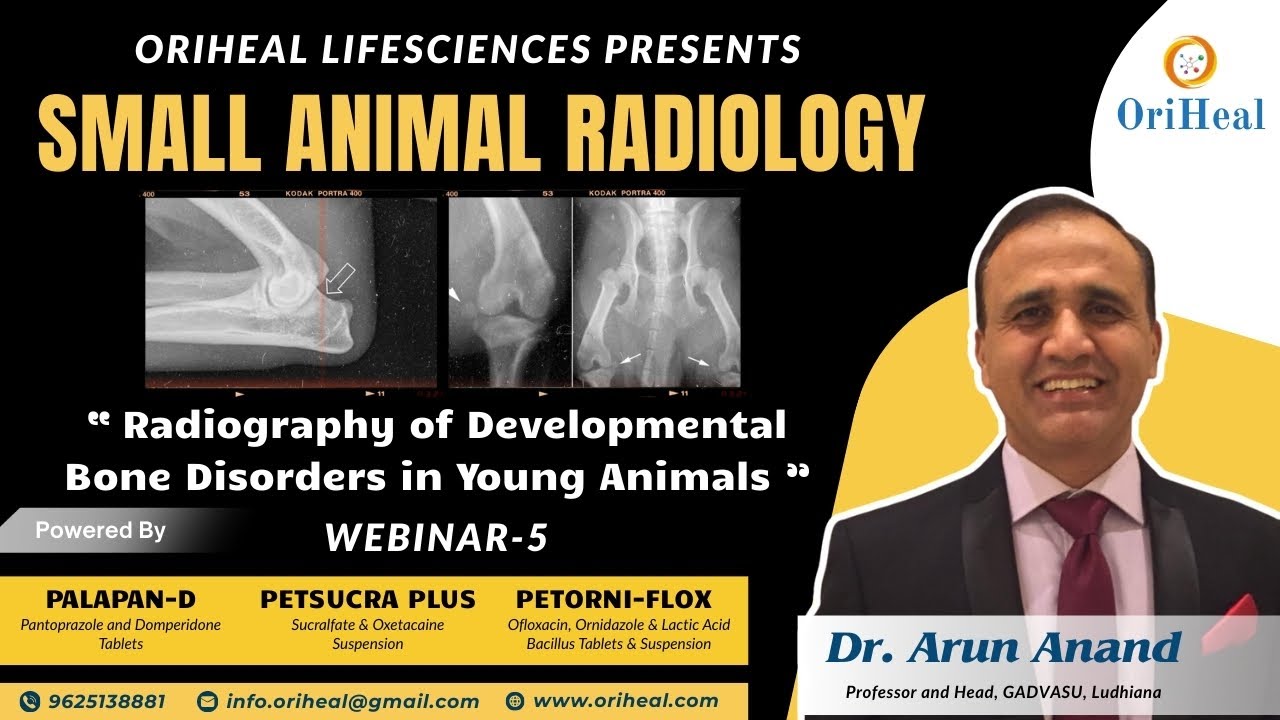 Webinar 5 : Radiography of Developmental Bone Disorders in Young Animals By Dr Arun Anand