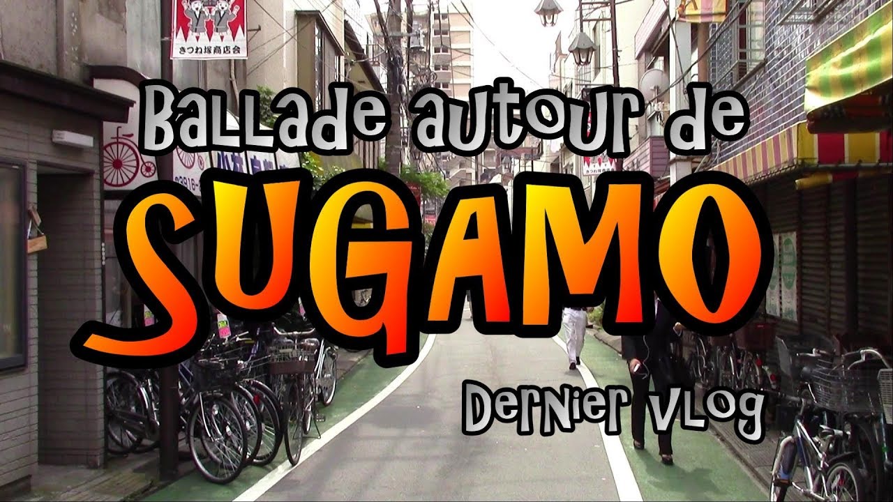 VLOG JAPON 2017 - 17 - Derniers jours sur Tokyo