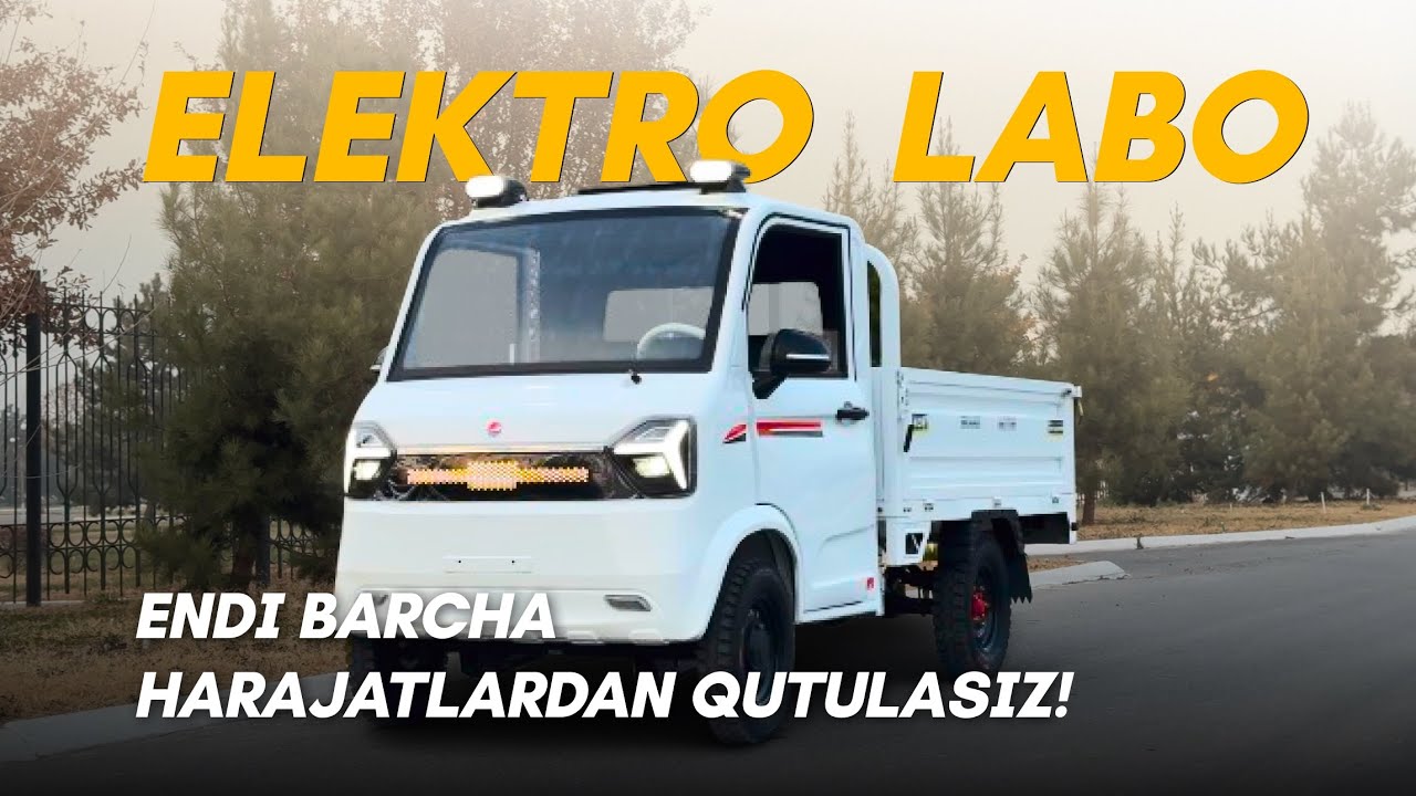 Labo Elektr modeli | Bibike.uz