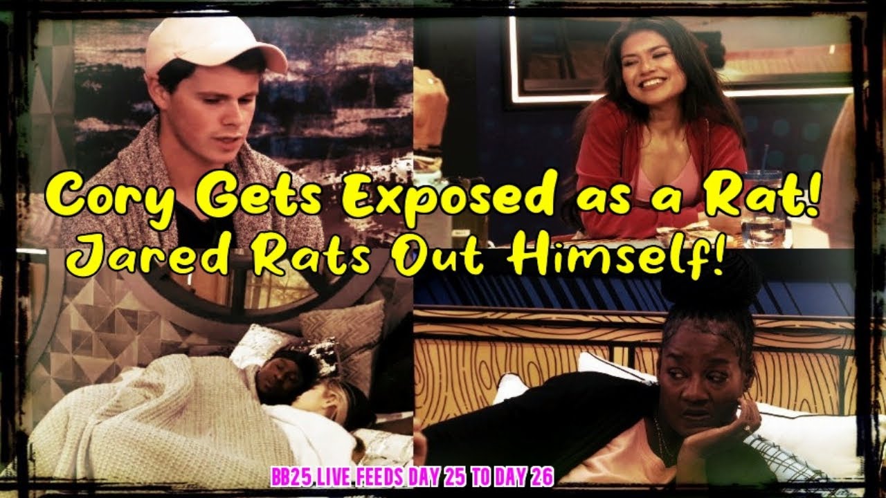 Big Brother 25 | Live Feeds Opinions | BB25 Day 25 to Day 26