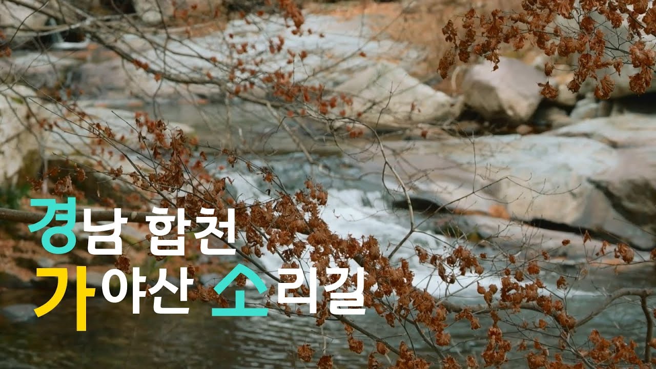 시간을 스치우는 소리 - 경남 합천 가야산 소리길