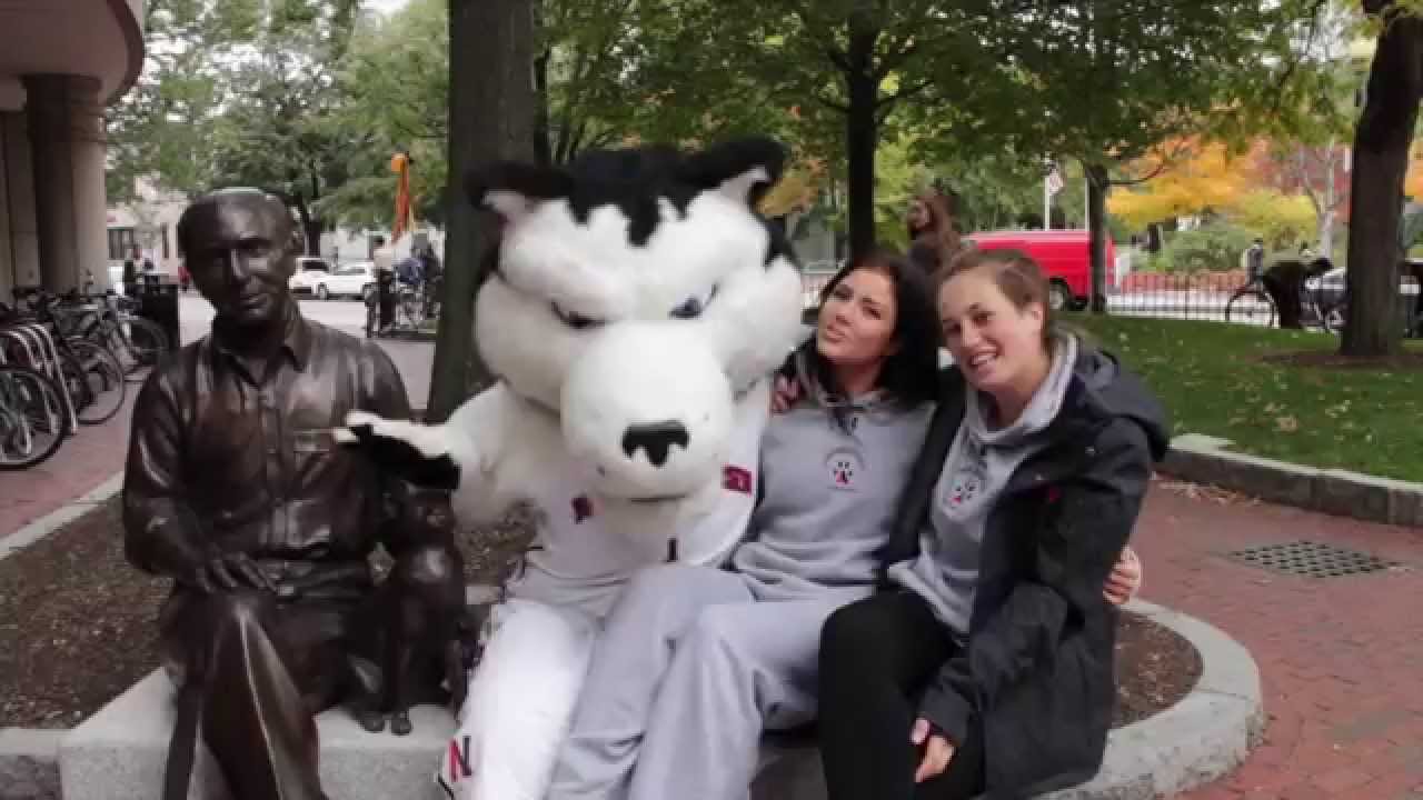 Shake It Off Northeastern University Athletics Lip Dub