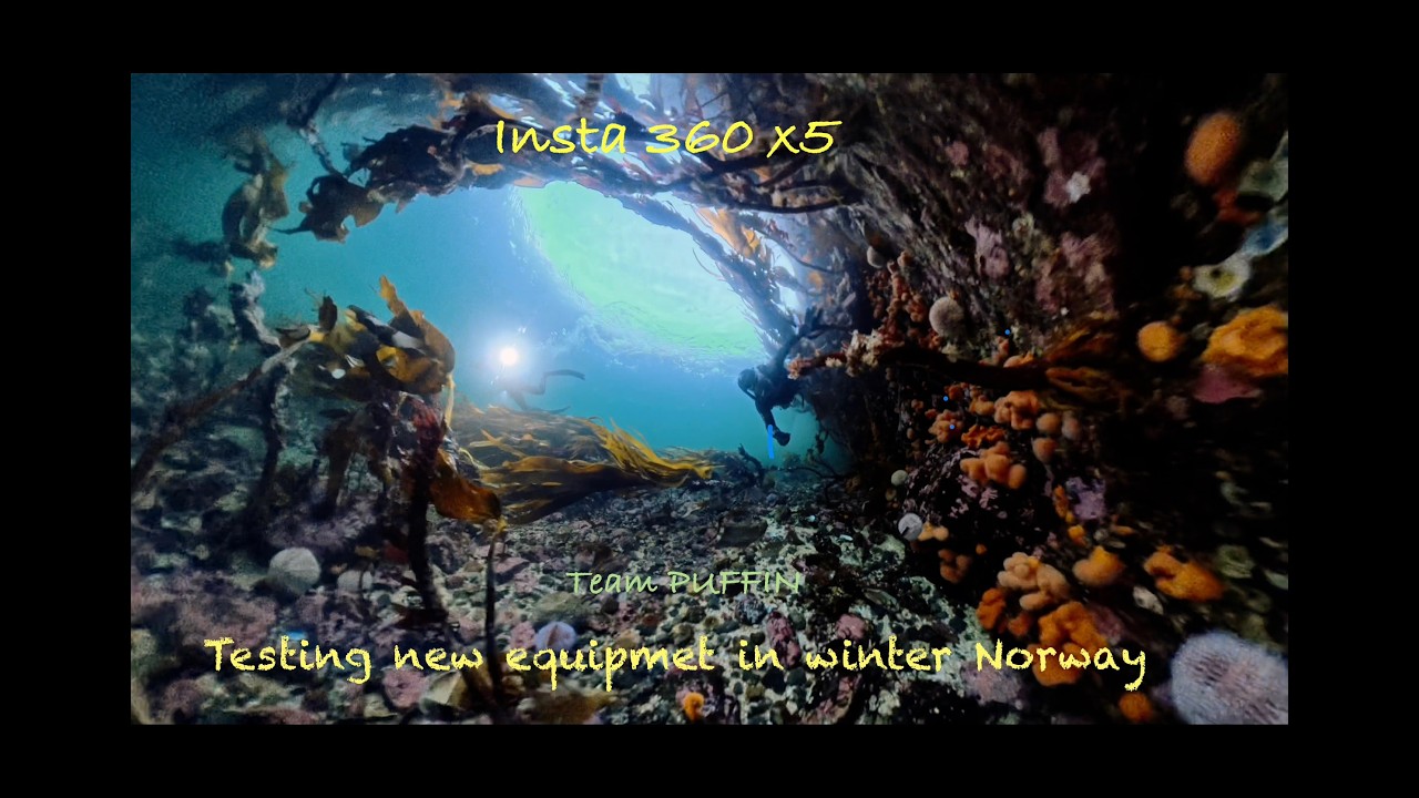 Insta 360 x5 test
