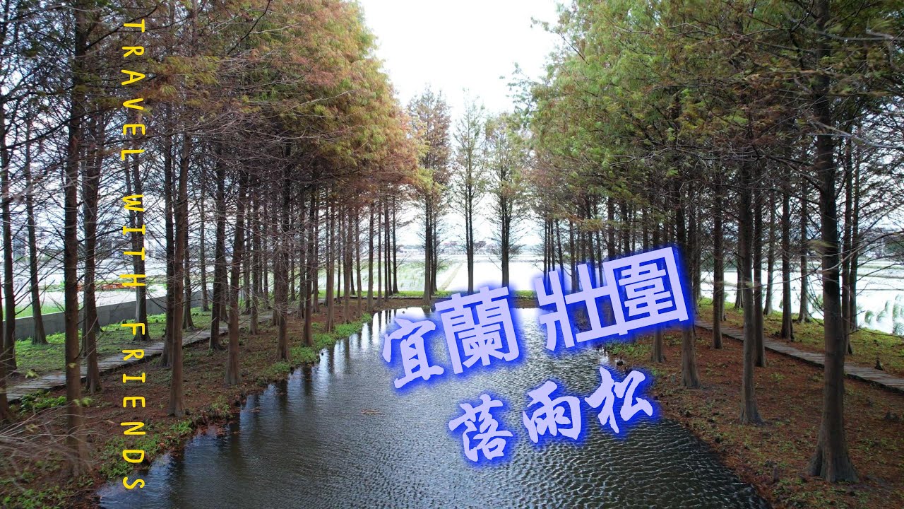 2026 0104  壯圍落雨松