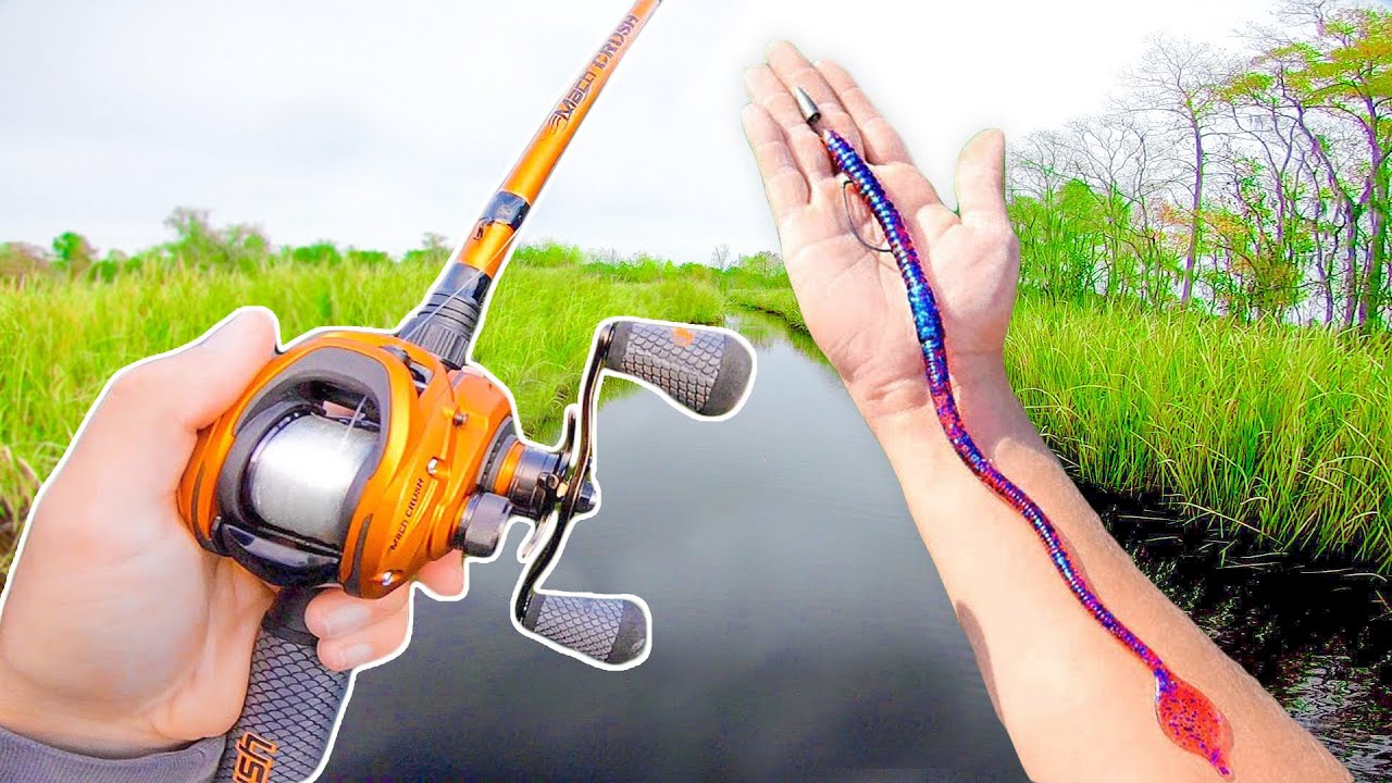 RECORD Day of BIG Worm Fishing! (LOADED w/ Bass)