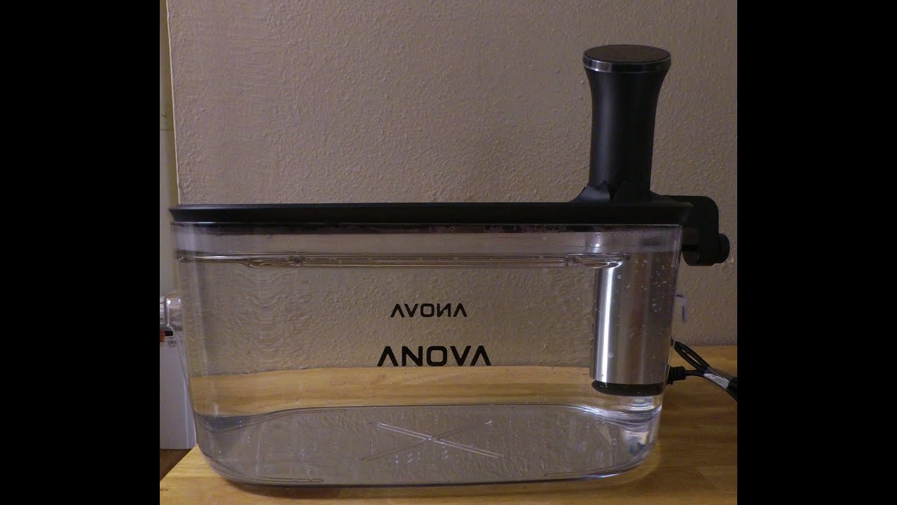 Anova Precision Cooker Container Review