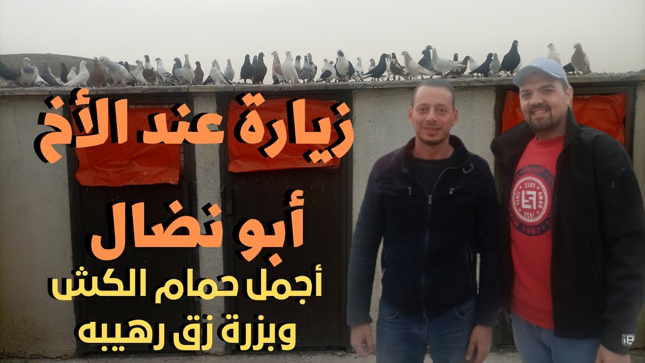 زيارة عند الاخ ابو نضال من اروع الزيارات حمام كش وزق نخب الله يبارك