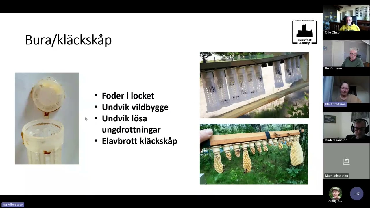 Träff 3 Från larv till parningsstation