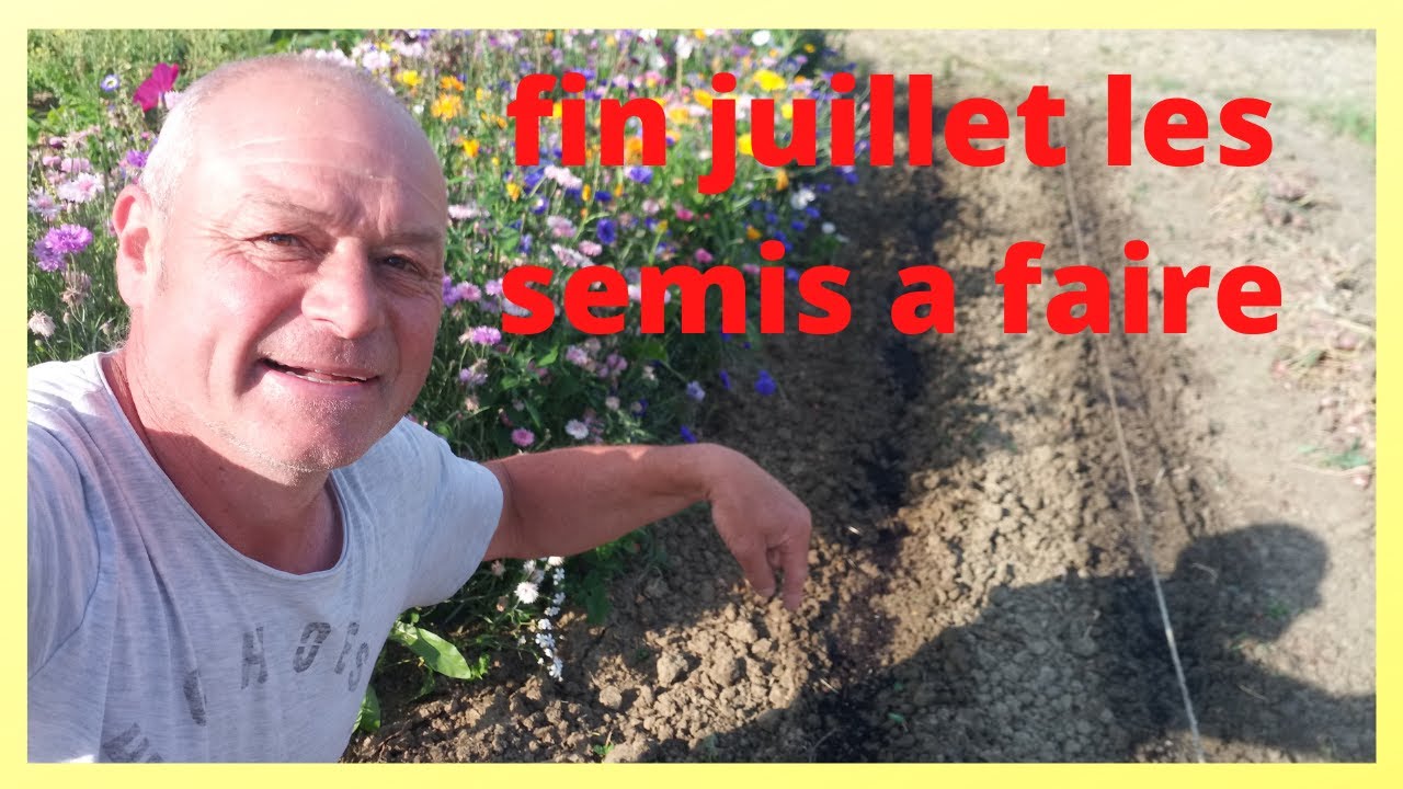 quoi semer quoi planter au 23 juillet au jardin