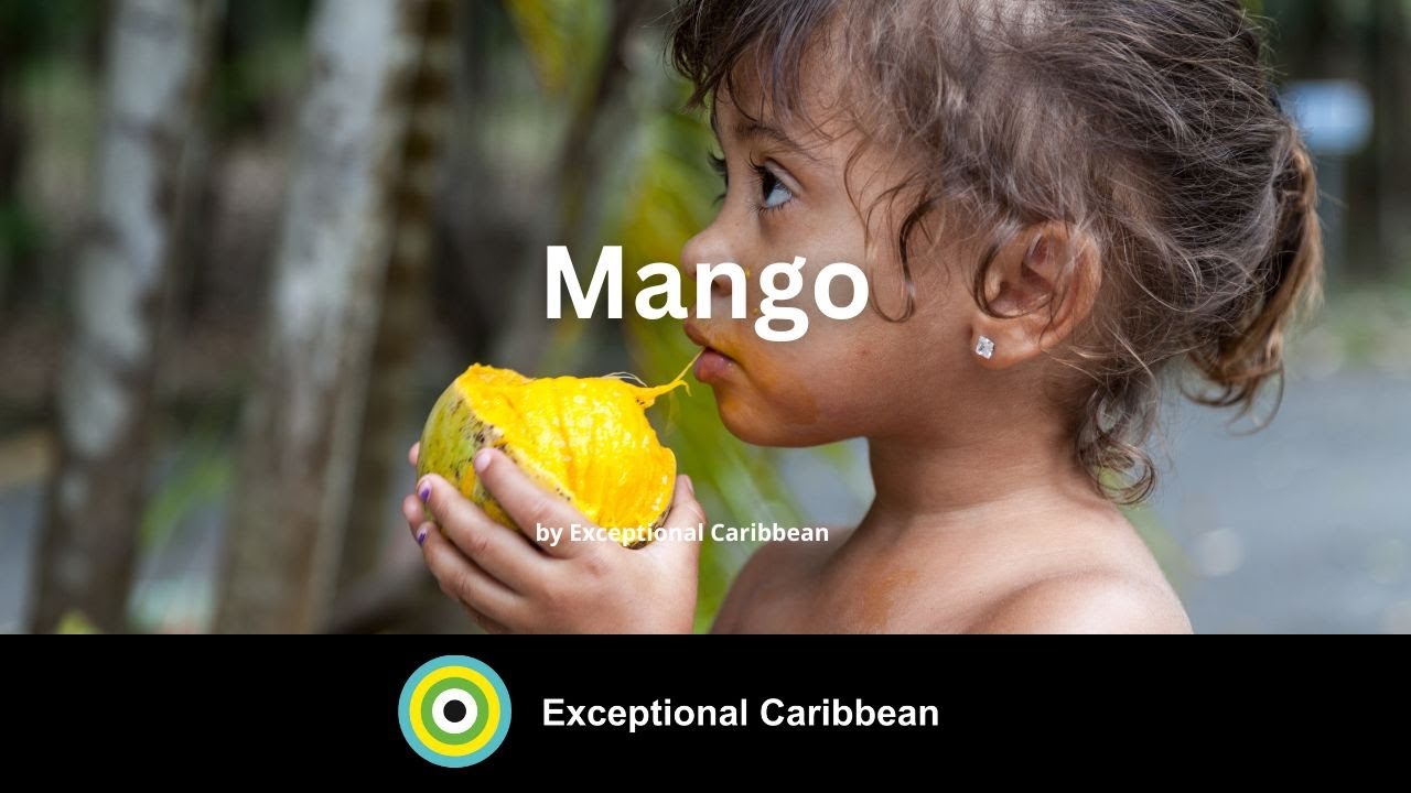 Mango - A Caribbean Fruit Waiting to be 'Discovered'