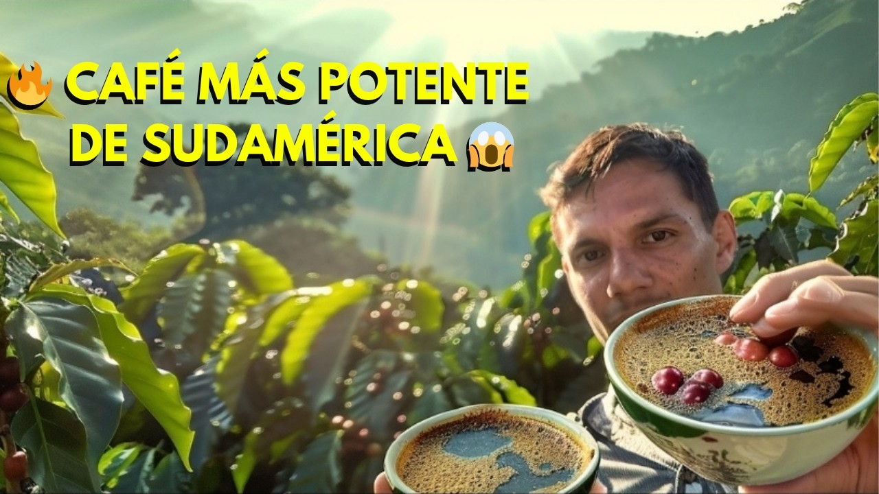 🔥 ¡Probé el CAFÉ más POTENTE de Sudamérica! 😱 En plena selva boliviana de Caranavi ☕🌿