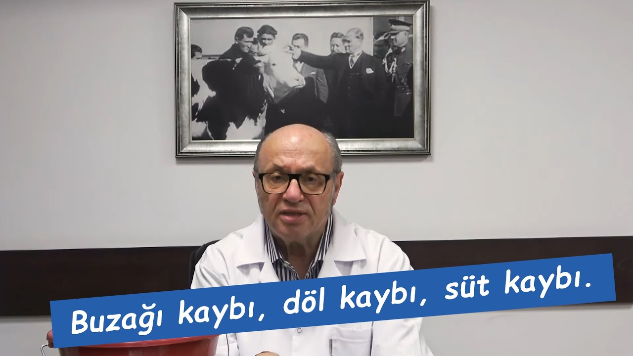 Süt Kaybı