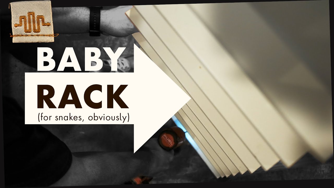 DIY Breeder Rack for BABY Snakes