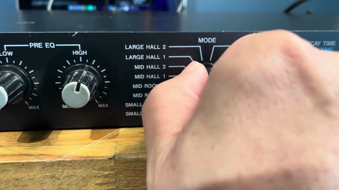 Boss RV-1000