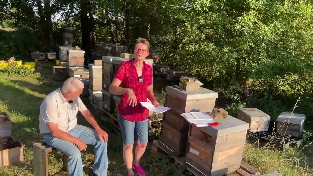Live von Pias Bienenstand - 10.08.