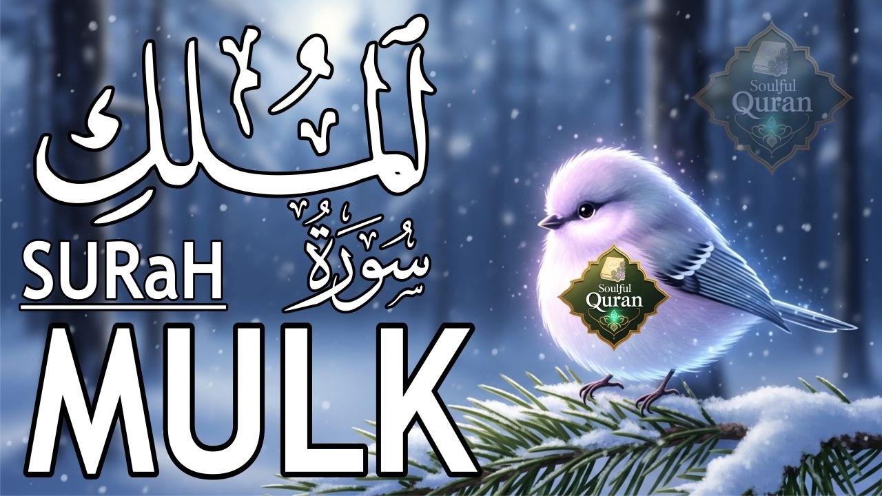 World's most beautiful recitation of Surah MULK (The Kingdom) سورة الملك | EP 06