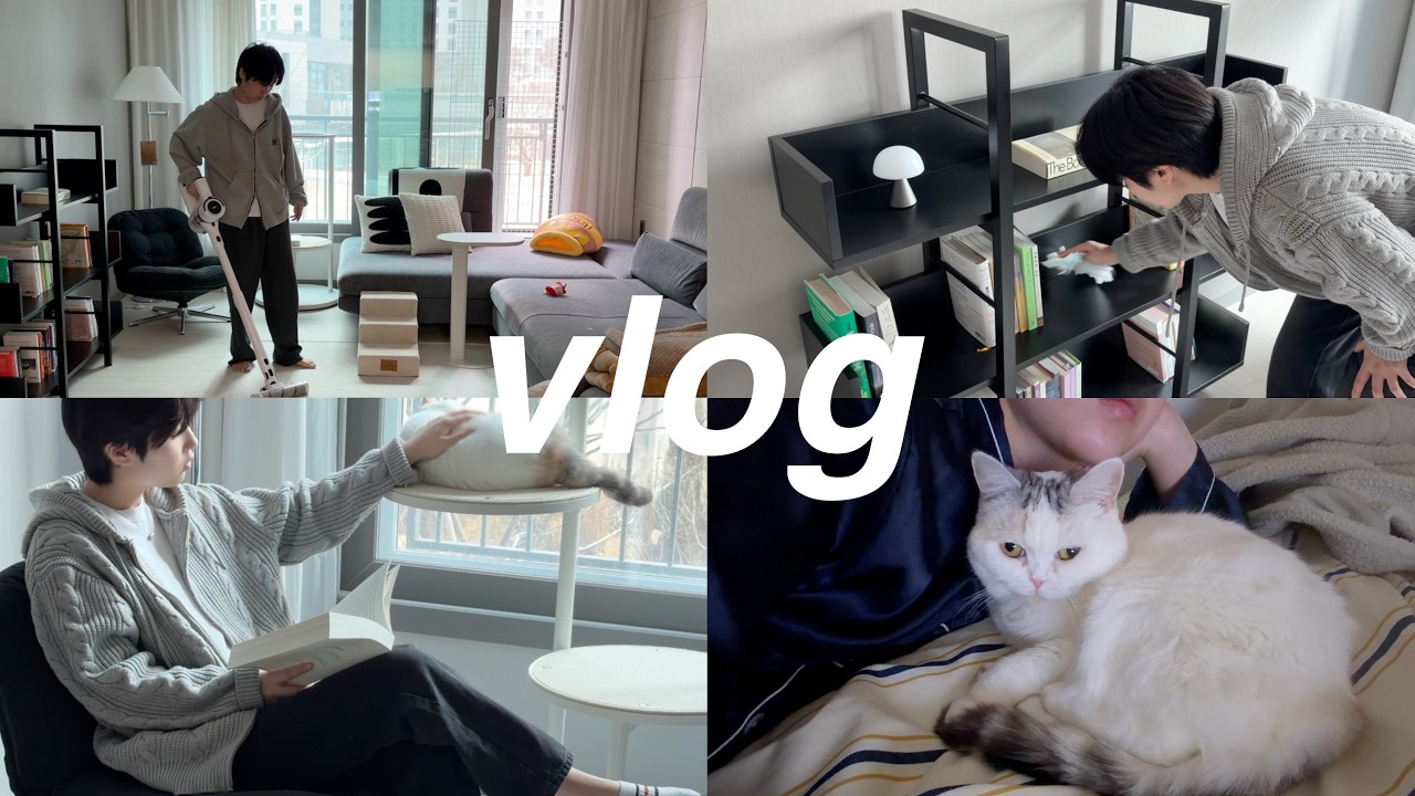 eng) 갓 서른살의 일상 브이로그 with 고양이🐈 양파카레 만들기, 교촌치킨, 힐스 습식, 집사 vlog