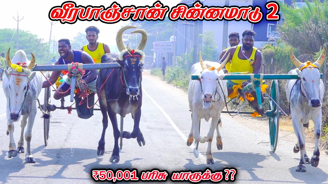 2வீரபாஞ்சான்-சின்னமாடு-பந்தயம்_08.02.2026_V_Photography