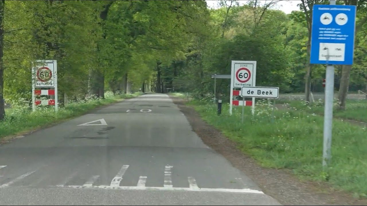Roadmovie by Dashcam Ermelo: N310 Garderenseweg 》 Uddelermeerweg 》Landgoed Staverden.