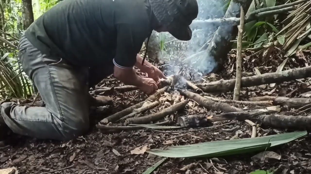 Pequei um baita de um piau num pequeno igarapé.