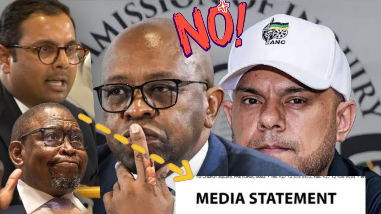 😡Minister of Finance Responds to Madlanga Mention by Carrim Suliman's Lawyer, Adv Kameel Apologizes