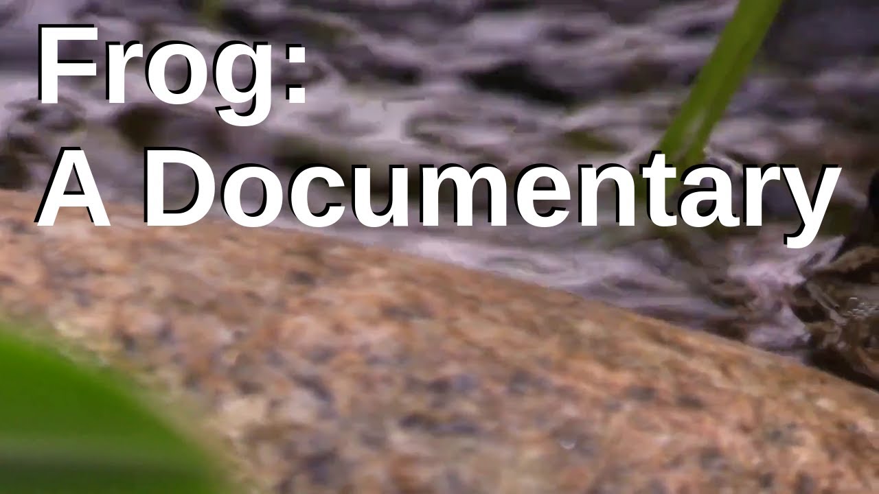 Frog: A Documentary