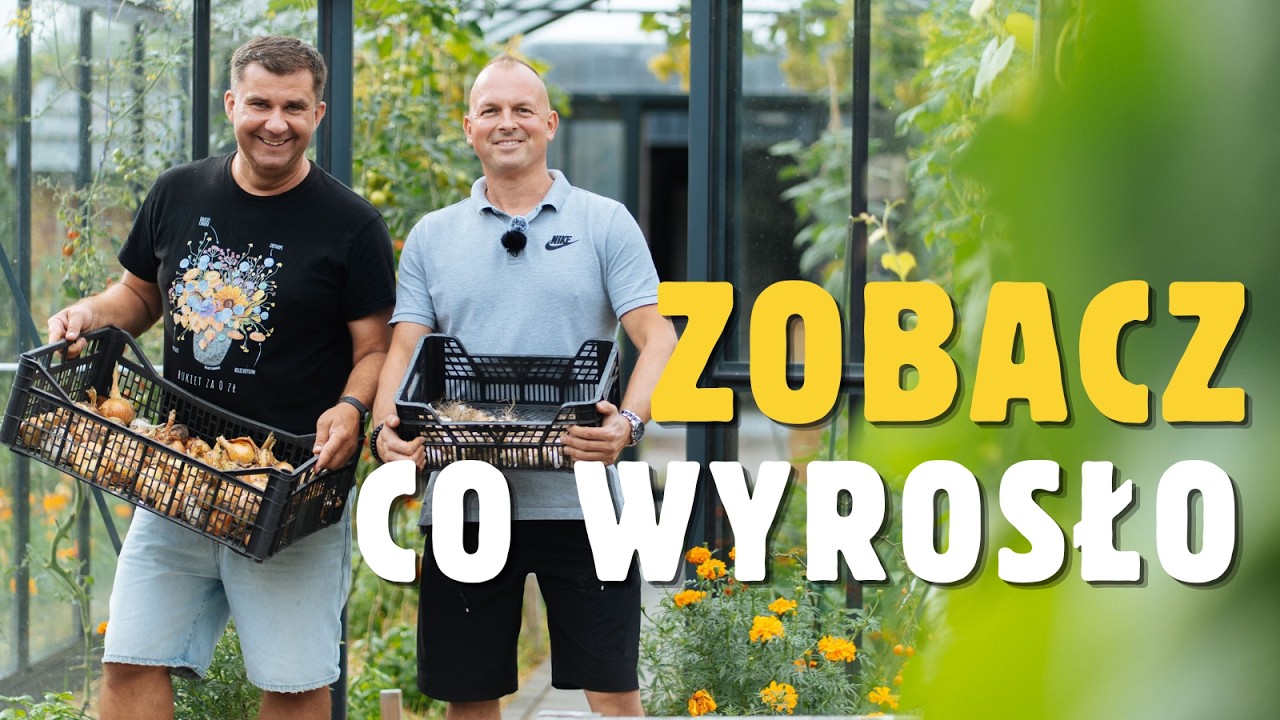Jak prowadzić ogr&oacute;d warzywny i kwiaty cięte? Triki na gigantyczne plony i gęste rabaty. Wow!Garden