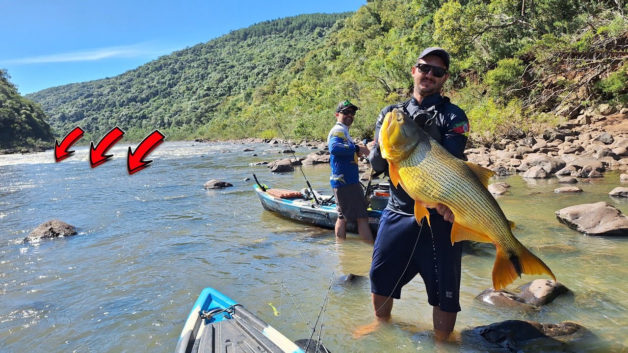 As Pernas Tremem !O CORAÇÃO Dispara! A MAIOR PESCARIA DE DOURADO DE BARRANCO.