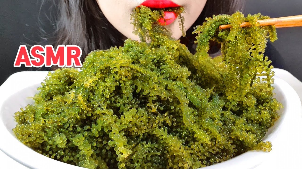 ASMR SEA GRAPES 바다포도 이팅사운드 먹방 EATING SOUND MUKBANG