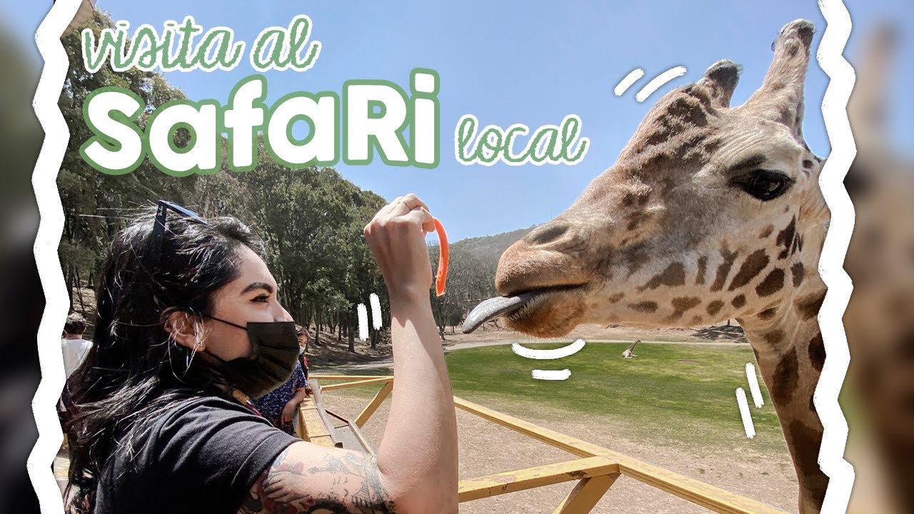 ABRAZANDO JIRAFAS Y PERTURBANDO AL SAFARI | VLOG