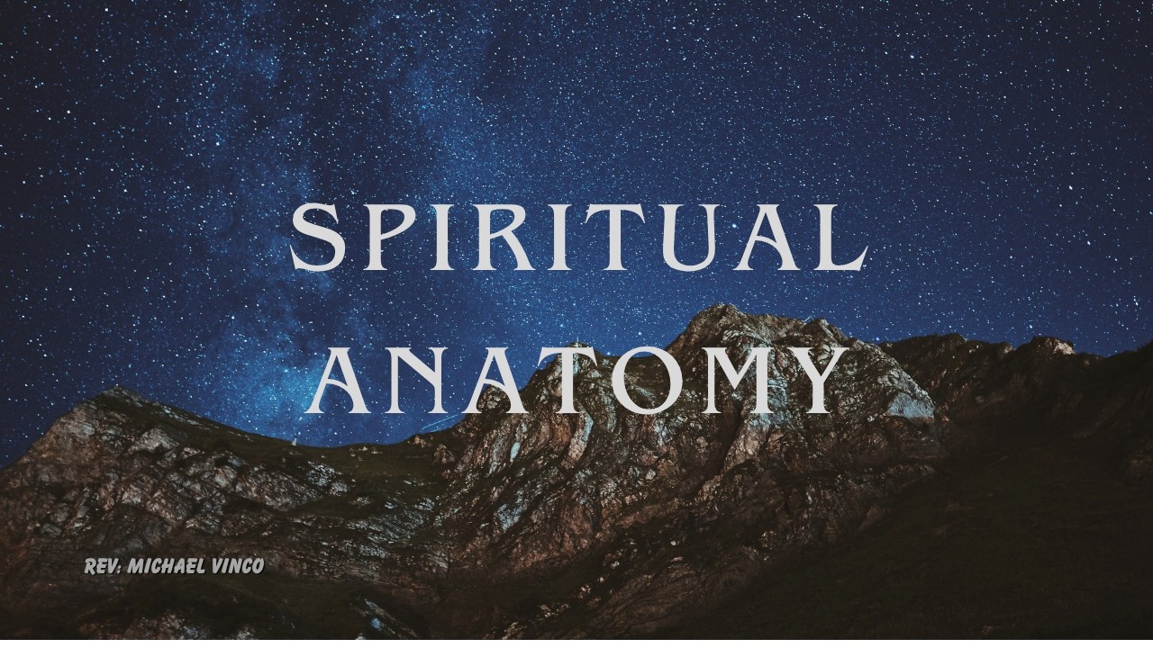 February 22 2026 | Spiritual Anatomy