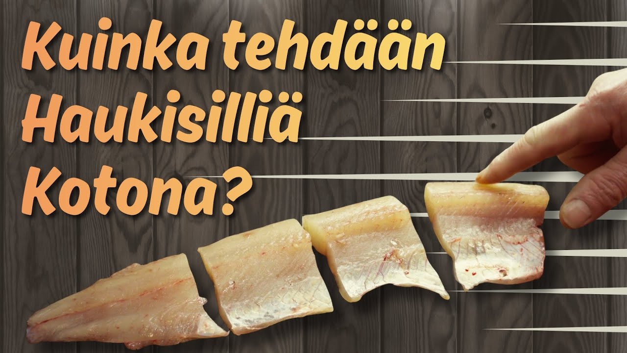 Haukisillin valmistus alusta loppuun – Saalis verkosta pöytään