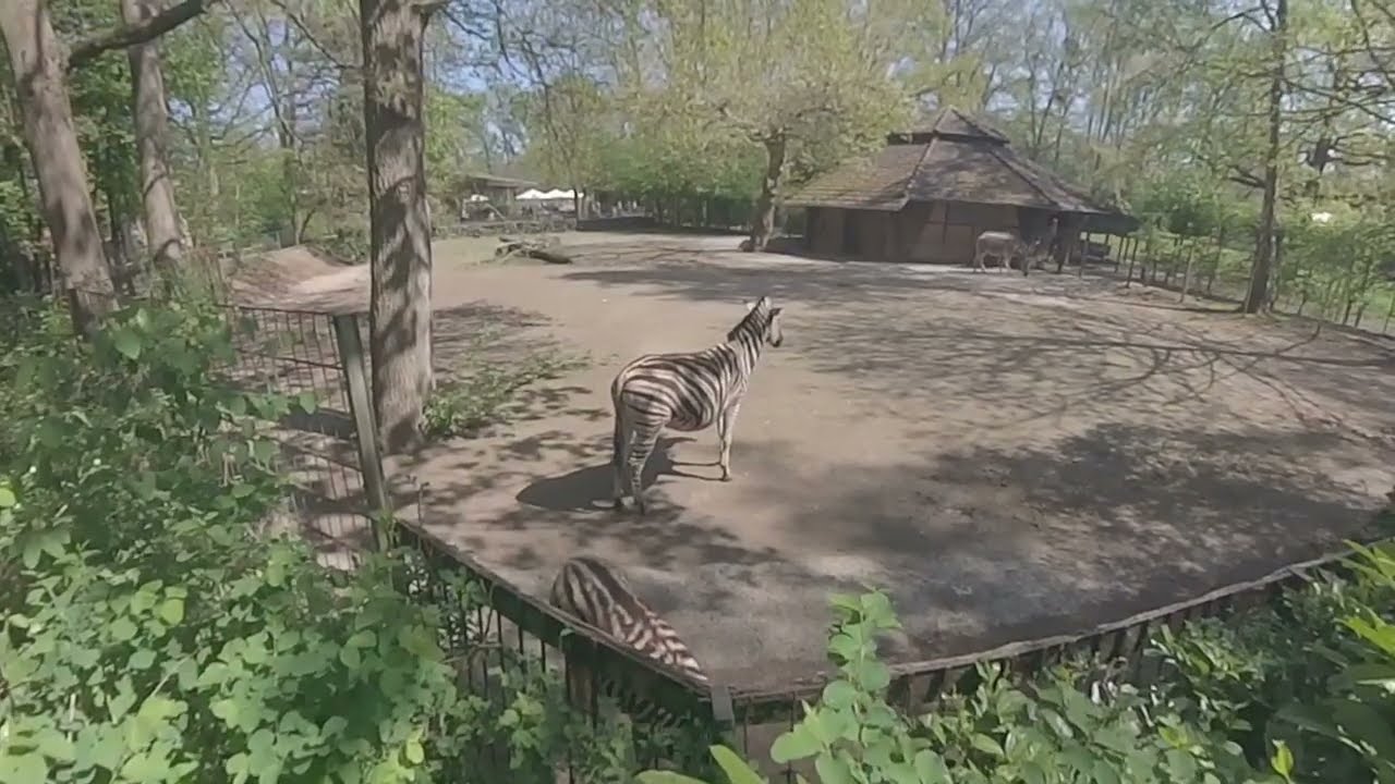 Exploring NaturZoo Rheine