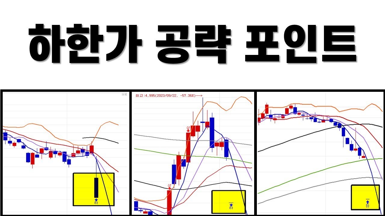 하한가 종목은 이것만 보면 됩니다.