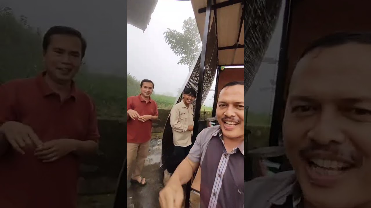 Gala-gala#KS-Sumber#bubulak kuningan