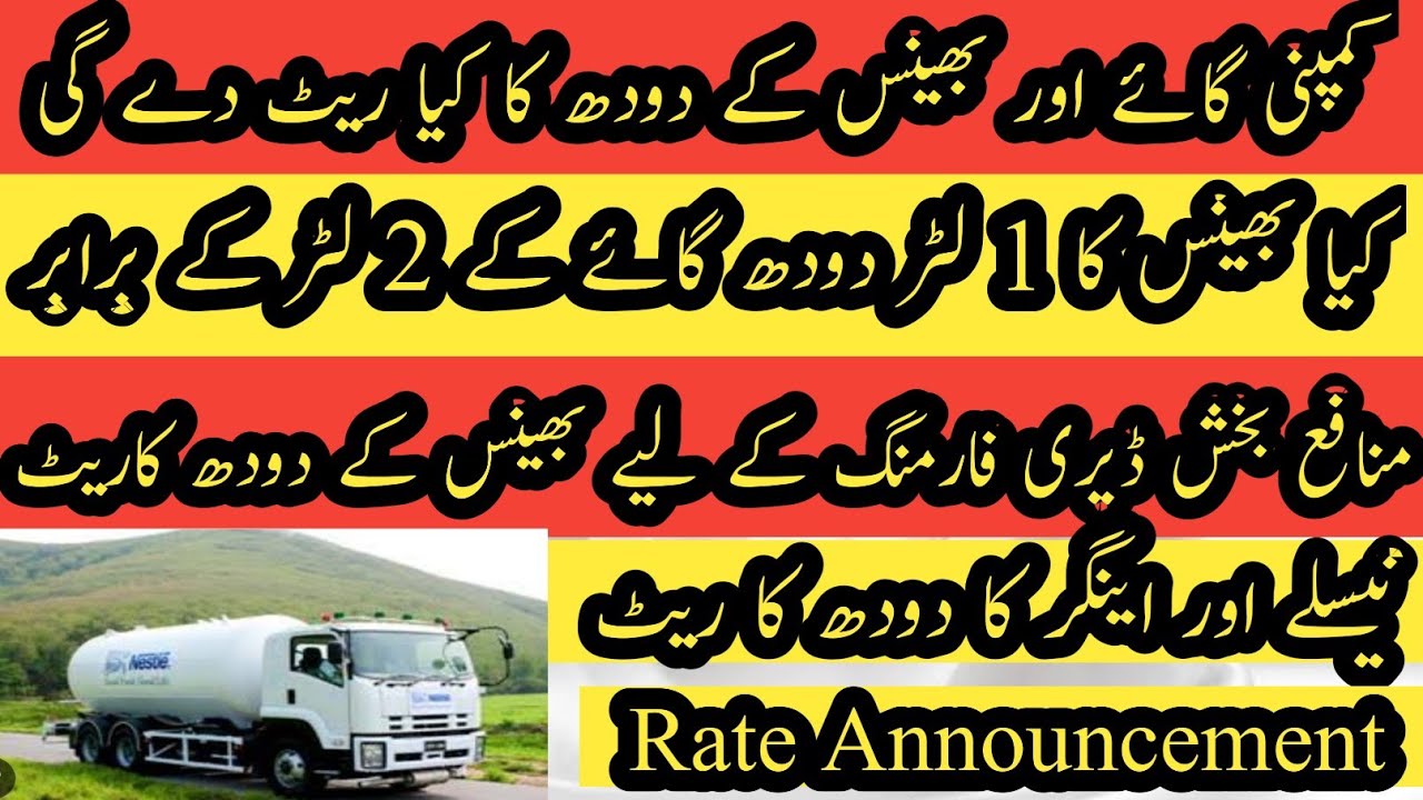 Nestle Engro rate of cow and buffalo milk II Price of buffalo milk I Calculation of milk on TS basis