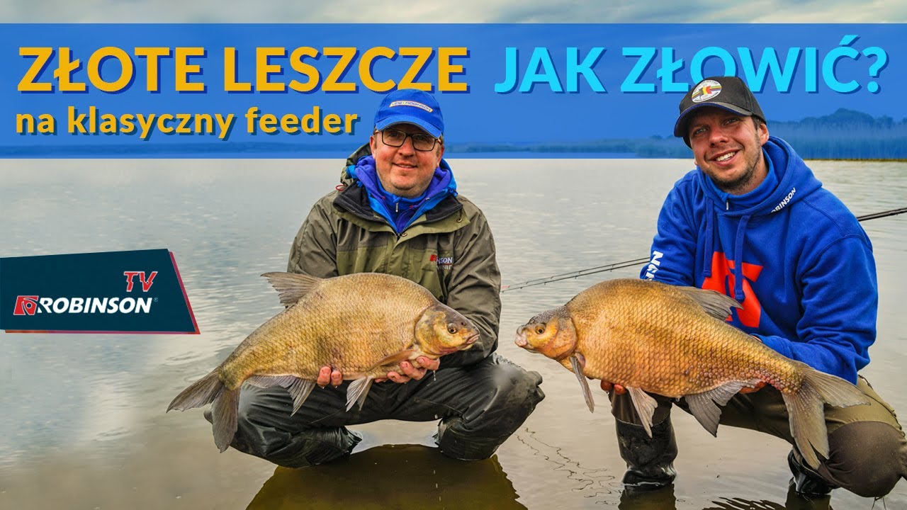Złote leszcze na klasyczny feeder – jak złowić? ROBINSONVLOG#11