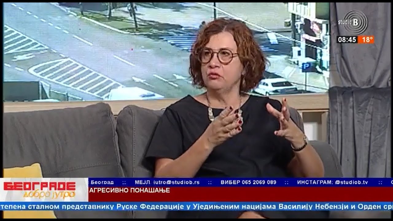 Snežana Anđelić - Agresivno ponašanje