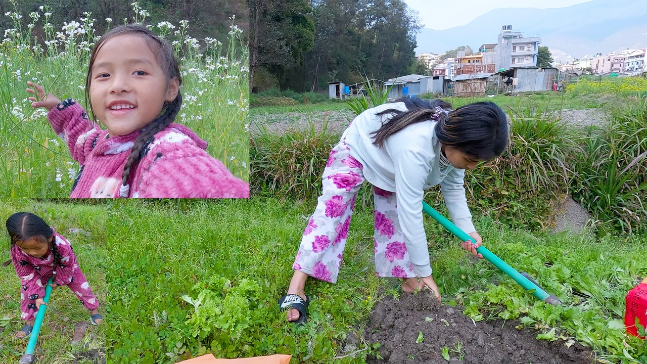 we are enjoying our time in our farm field || sumnima Rai || family of dhanlaxmi @SumnimaRaini
