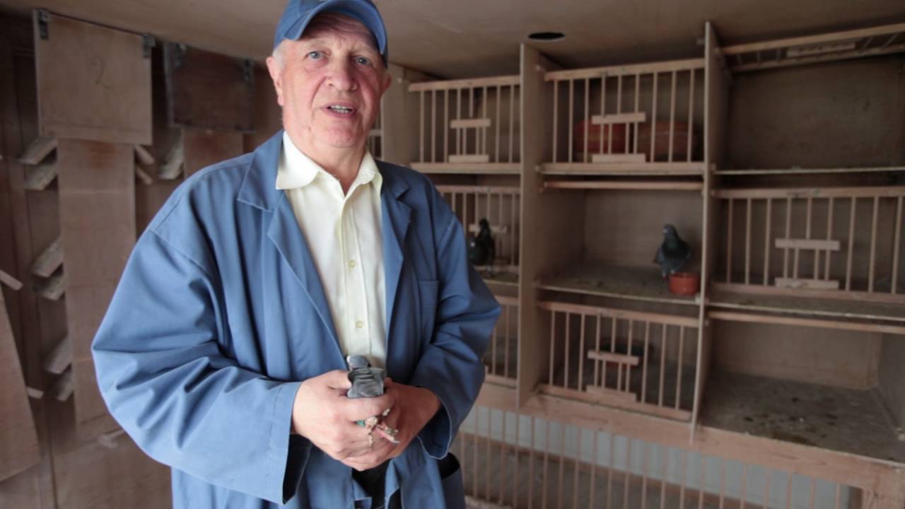 Nationale Winnaars ZLU Agen ouden 2016