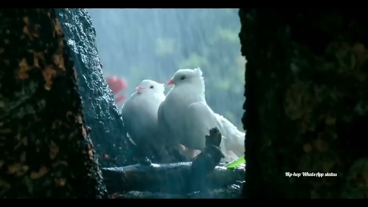 ❤️Kalamalam💖 vaal un🤎🤎 kannalagu 💙poodhum 💓en asai♥️ ellame💞 pesa ava💝 kaalagu 💙💙