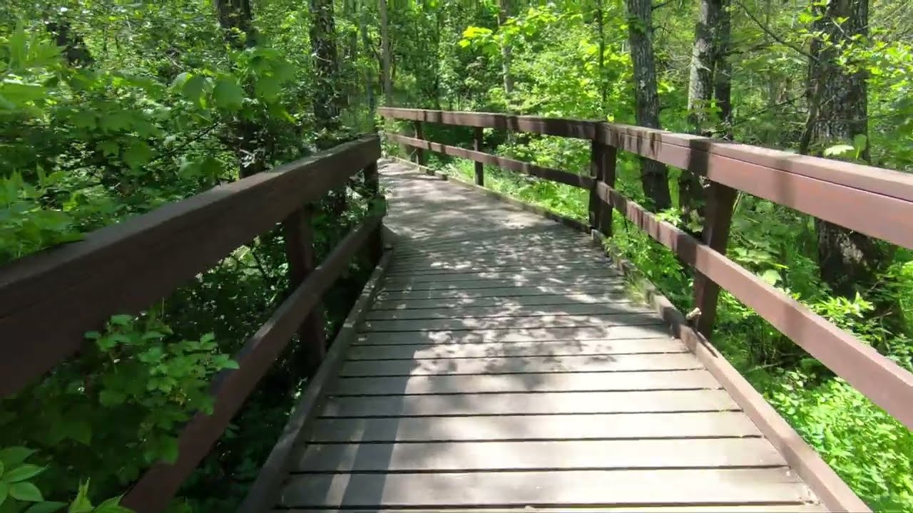 Montseny natural park  - Family nature trip