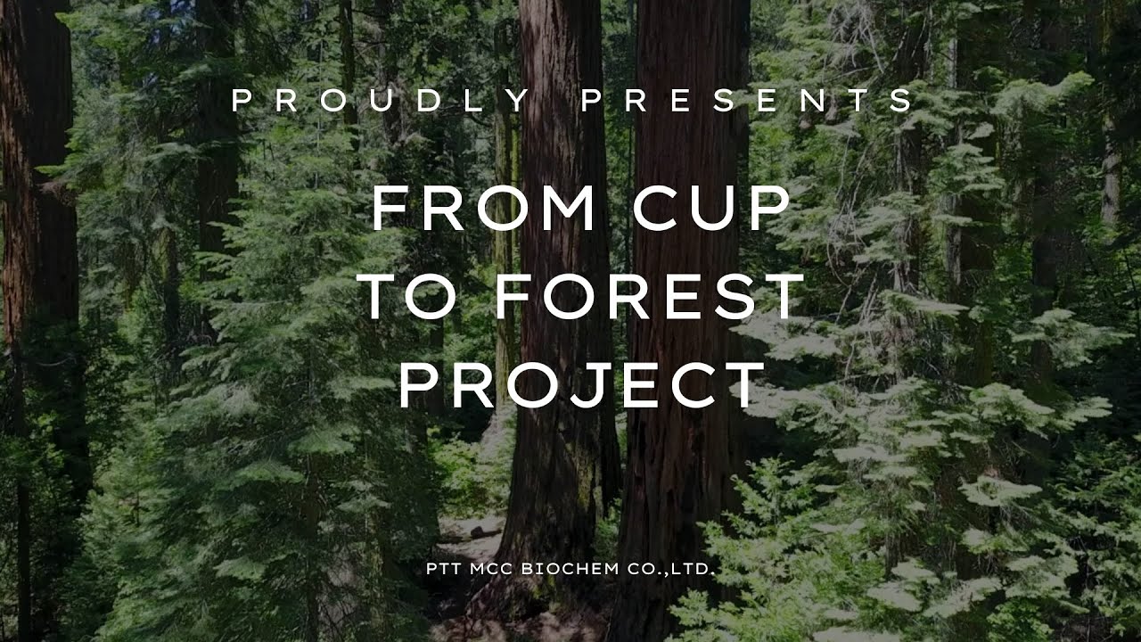 From Cup To Forest Project 2025 (Repurposing BioPBS Cups to Their Second Lives) - English Version