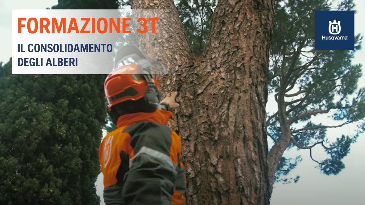 Husqvarna e Formazione 3t - Il Consolidamento degli Alberi -